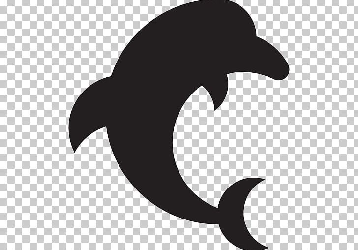 Dolphin Computer Icons PNG, Clipart, Animal, Animals, Beak, Black, Black And White Free PNG Download