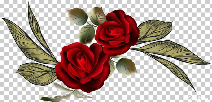 Garden Roses Drawing PNG, Clipart, Beautiful, Beautiful Man, Clip Art, Cut Flowers, Drawing Free PNG Download