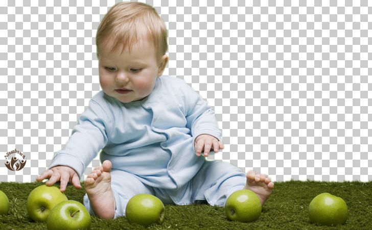 Infant Child Fototapet Mother PNG, Clipart, Apple, Baby, Boy, Child, Childhood Free PNG Download