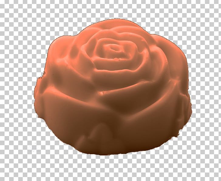 Praline Rose Family PNG, Clipart, Peach, Petal, Praline, Rose, Rose Family Free PNG Download