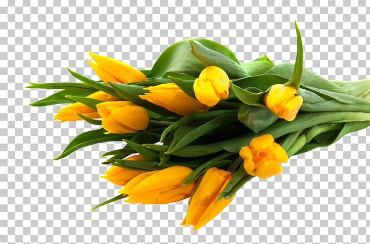 Rose Flower Yellow High-definition Video PNG, Clipart, Bouquet, Cut Flowers, Floral Design, Floristry, Flower Arranging Free PNG Download