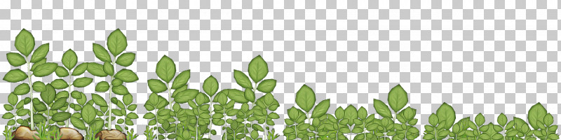 Plant Stem Leaf Wheatgrass Commodity Tree PNG, Clipart, Biology, Commodity, Crop, Leaf, Plant Free PNG Download