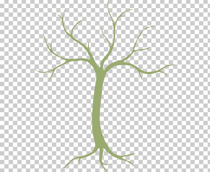 Tree Stock Photography PNG, Clipart, Base Cliparts, Branch, Flora, Flower, Flowering Plant Free PNG Download