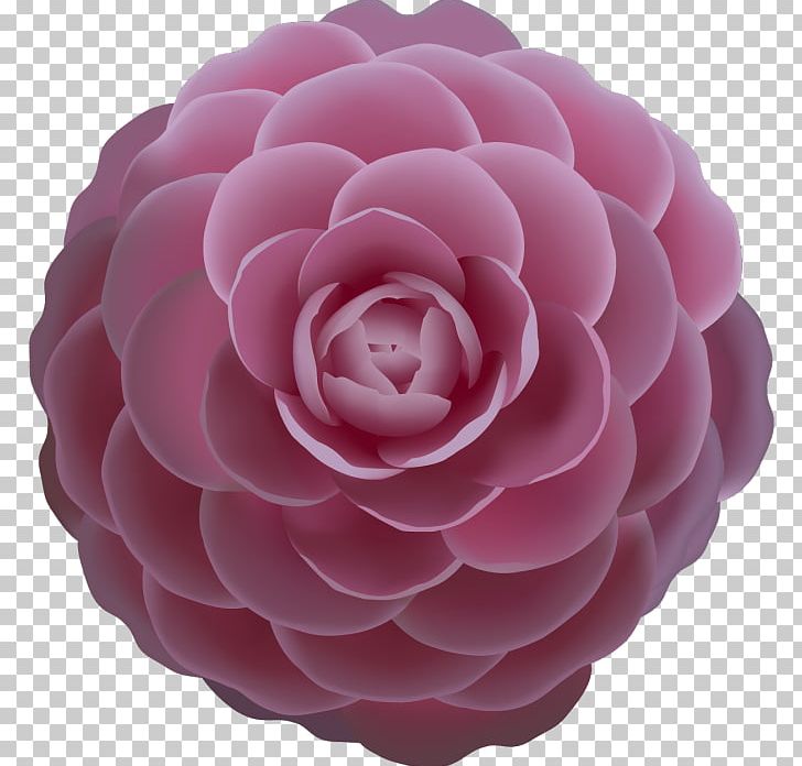 Camellia Rose PNG, Clipart, Camellia, Clip Art, Computer Software, Dahlia, Flower Free PNG Download
