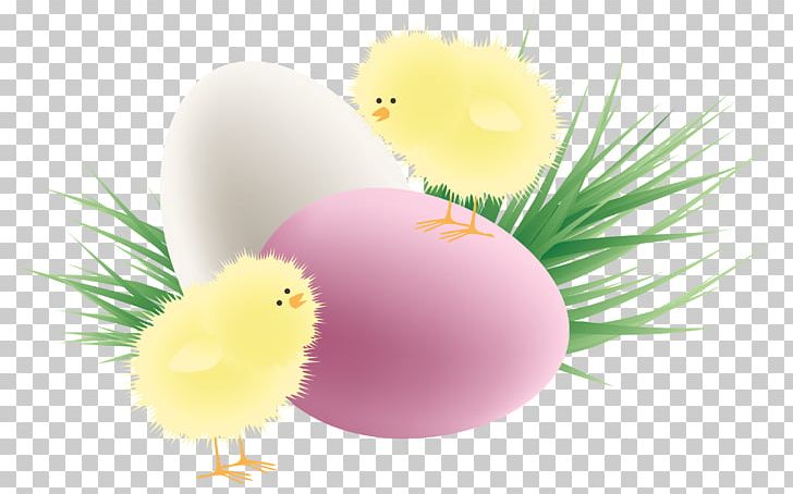Chicken Red Easter Egg PNG, Clipart, Chicken, Chickens, Christmas, Clip Art, Computer Wallpaper Free PNG Download
