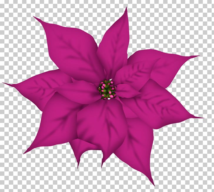 Christmas Flower PNG, Clipart, Animation, Art Christmas, Blue, Christmas, Clip Art Free PNG Download