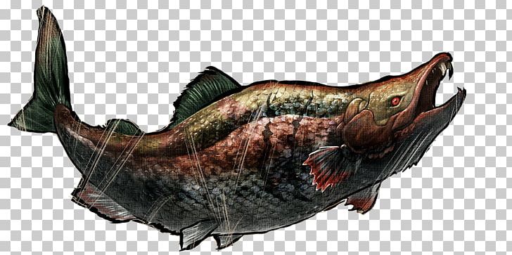 Fish ARK: Survival Evolved Oncorhynchus Rastrosus Chinook Salmon Pliocene PNG, Clipart, Animal Source Foods, Ark, Ark Survival Evolved, Chinook Salmon, Dinosaur Free PNG Download