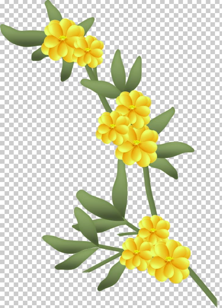 Flower Drawing PNG, Clipart, Blume, Color, Drawing, Flower, Flowering Plant Free PNG Download