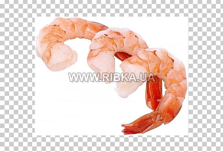 Prawn Cocktail Shrimp And Prawn As Food Lobster PNG, Clipart, Animals, Animal Source Foods, Caridean Shrimp, Cooking, Decapoda Free PNG Download