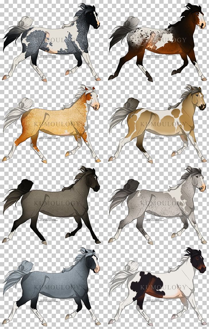Mustang Stallion Pack Animal Freikörperkultur Wildlife PNG, Clipart, Fauna, Horse, Horse Like Mammal, Livestock, Mane Free PNG Download