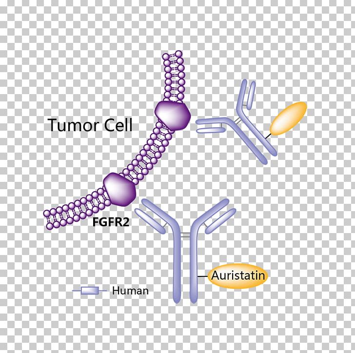 Obinutuzumab Pharmaceutical Drug Vemurafenib Eptinezumab Trastuzumab Emtansine PNG, Clipart, Angle, Clinical Trial, Diagram, Drug, Interleukin 1 Receptor Type I Free PNG Download