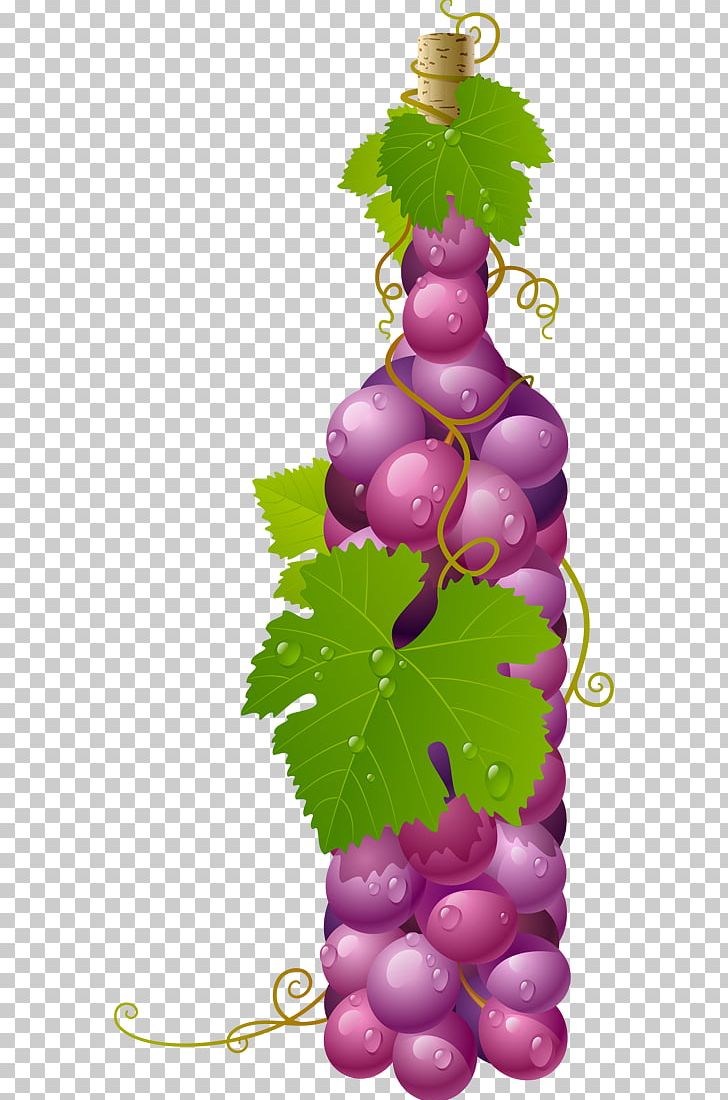 Wine Alicante Bouschet Grape Graphics PNG, Clipart, Common Grape Vine, Flowering Plant, Food, Food Drinks, Fruit Free PNG Download