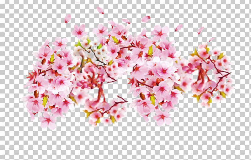 Cherry Blossom PNG, Clipart, Blossom, Cherry Blossom, Cut Flowers, Flower, Petal Free PNG Download