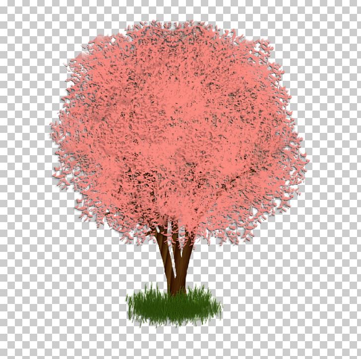 Tree Pink M PNG, Clipart, Nature, Pink, Pink M, Tree Free PNG Download