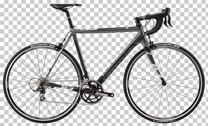 Trek Bicycle Corporation V5 Cycles Bicycle Shop Racing Bicycle PNG, Clipart, Bicycle, Bicycle Accessory, Bicycle Frame, Bicycle Part, Cycling Free PNG Download