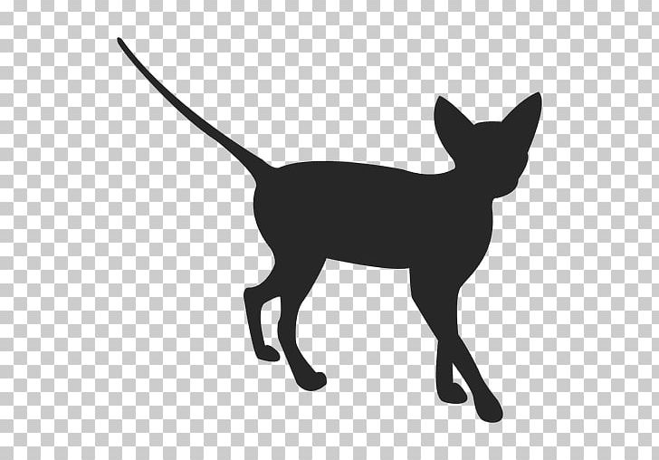 Whiskers Dog Breed Siamese Cat Kitten PNG, Clipart, Animals, Black, Black And White, Carnivoran, Cat Free PNG Download