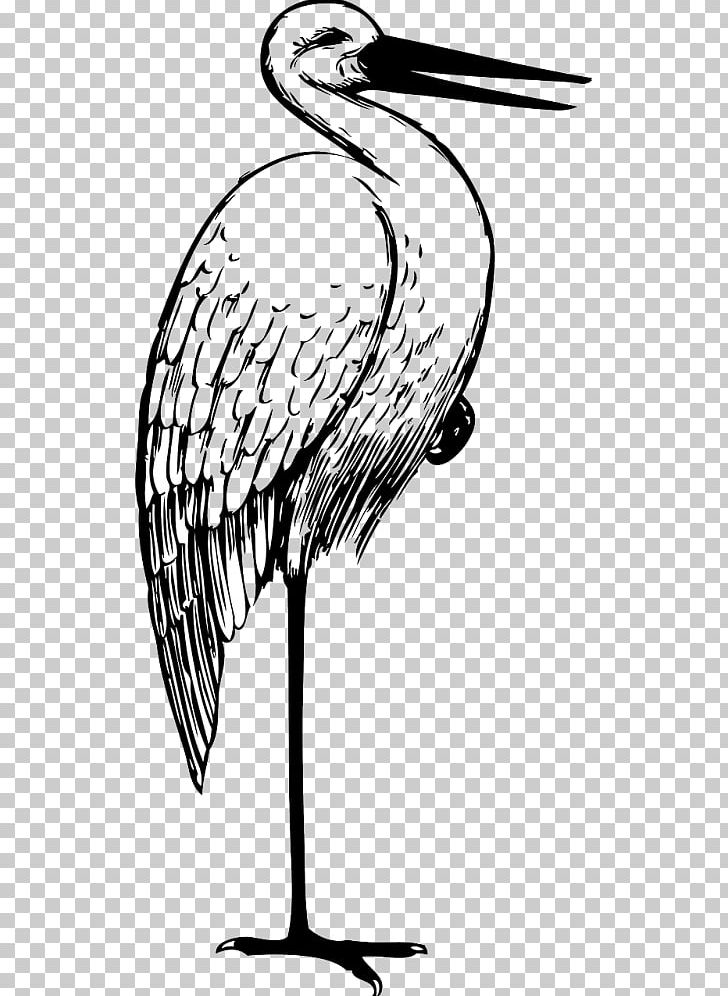White Stork Crane Bird The Stork PNG, Clipart, Art, Artwork, Beak, Bird, Black And White Free PNG Download