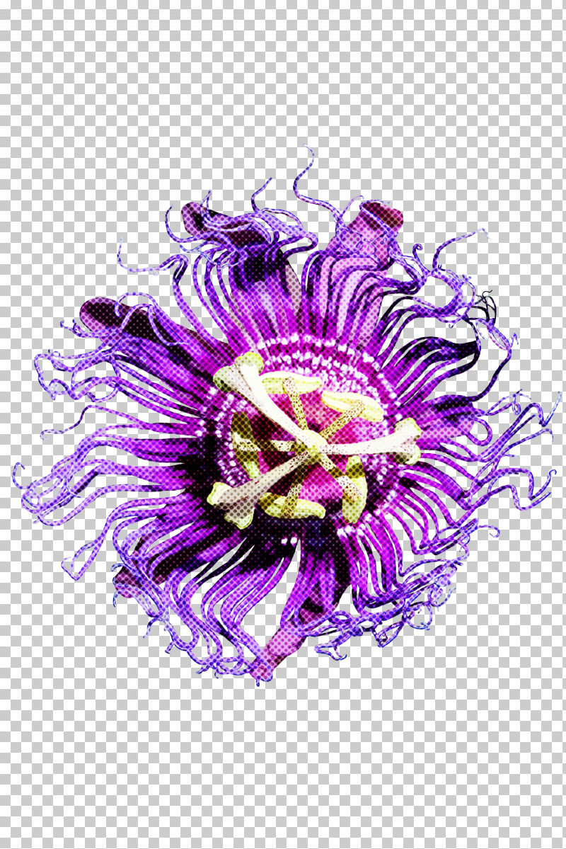 Violet Purple Passionflower Purple Passion Flower Flower PNG, Clipart, Aster, Flower, Giant Granadilla, Passion Flower, Passion Flower Family Free PNG Download