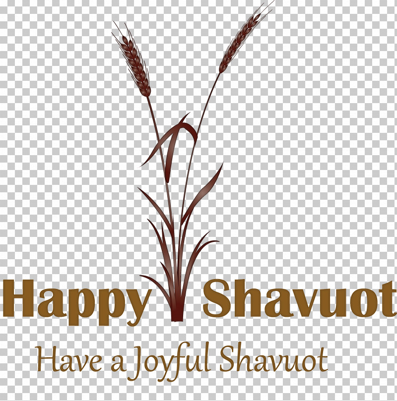 Happy Shavuot Shavuot Shovuos PNG, Clipart, Elymus Repens, Flower, Grass, Grass Family, Happy Shavuot Free PNG Download