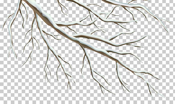 Branch Winter PNG, Clipart, Angle, Black And White, Branch, Clipart, Clip Art Free PNG Download