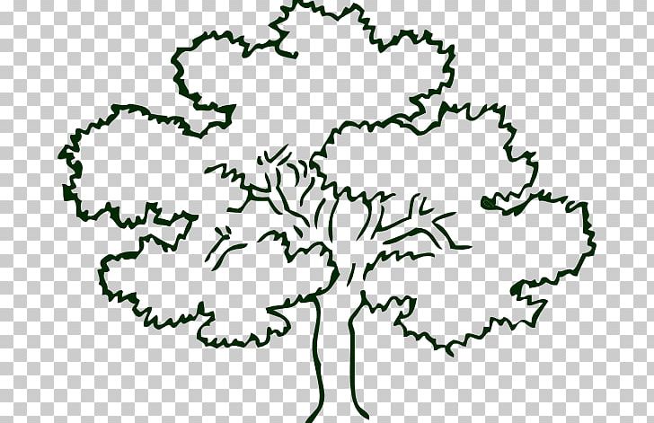 Tree Oak Outline PNG, Clipart, Area, Artwork, Black And White, Branch, Clip Art Free PNG Download