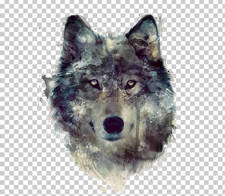 Gray Wolf Watercolor Painting Art Drawing PNG, Clipart, Art, Artist, Canis Lupus Tundrarum, Carnivoran, Concept Art Free PNG Download
