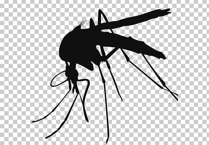Mosquito Control PNG, Clipart, Anti Mosquito, Arthropod, Black And White, Fly, Information Free PNG Download