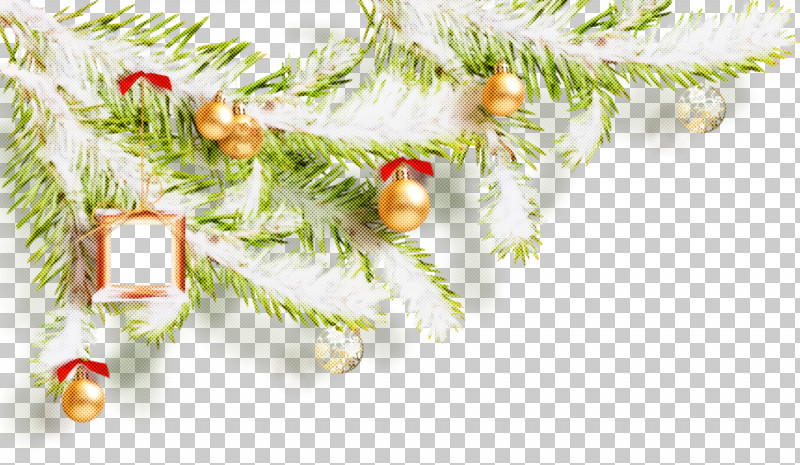 Christmas Ornaments Christmas Decoration Christmas PNG, Clipart, Branch, Christmas, Christmas Decoration, Christmas Ornament, Christmas Ornaments Free PNG Download