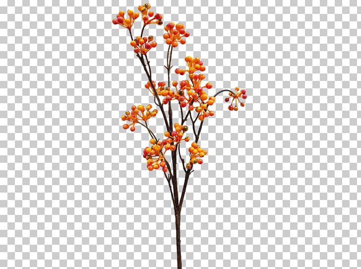 Berries Plant Stem Flower Branch Fruit PNG, Clipart, Artificial Flower, Berries, Branch, Cut Flowers, Flora Free PNG Download