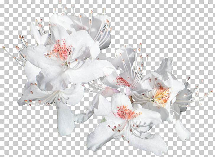 Floral Design Cut Flowers Flower Bouquet Flowering Plant PNG, Clipart, Artificial Flower, Blossom, Chinese Wind Flowers, Cut Flowers, Floral Design Free PNG Download