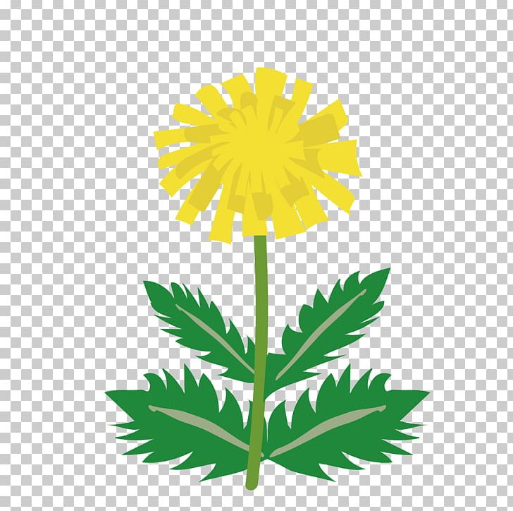LINE BLOG Dandelion PNG, Clipart, Blog, Chrysanthemum, Chrysanths, Clip Art, Communication Free PNG Download
