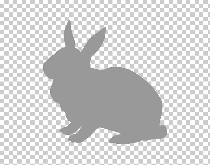 Domestic Rabbit Hare Pet Food PNG, Clipart, Animal, Animals, Black, Black And White, Broccoli Free PNG Download