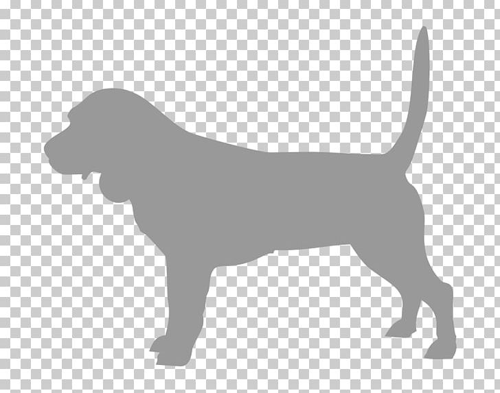 Labrador Retriever Puppy Dog Breed Sporting Group PNG, Clipart, Animals, Black, Black And White, Breed, Carnivoran Free PNG Download