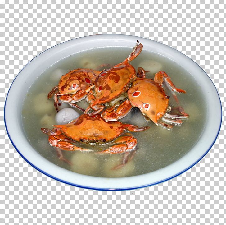 Dungeness Crab Google S PNG, Clipart, Adobe Illustrator, Animal Source Foods, Cartoon Sun, Crab, Crab Meat Free PNG Download