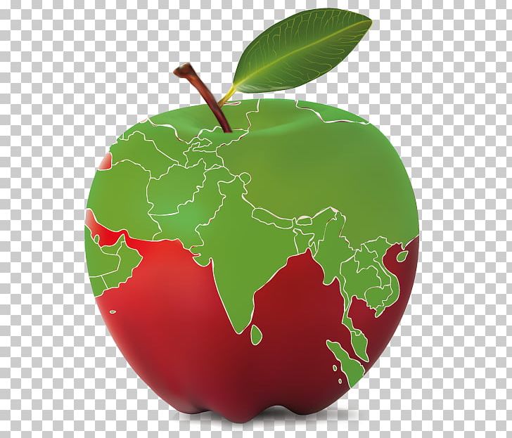 Apple Curriculum Chandigarh Education Common Core State Standards Initiative PNG, Clipart, Apple, Chandigarh, Christmas Ornament, Curriculum, Education Free PNG Download