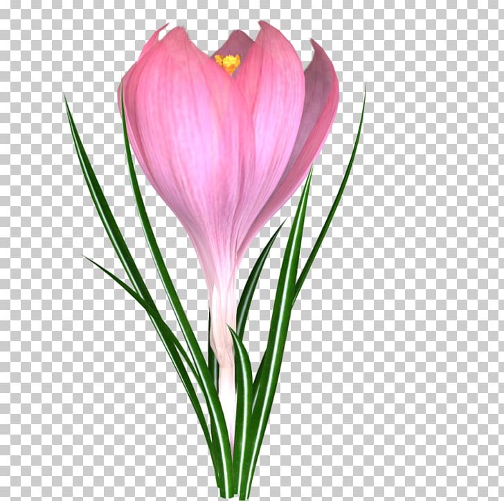Flower Crocus Blume Snowdrop PNG, Clipart, Antique Handpainted Material, Antiquity, Antiquity Decoration Pictures, Antiquity Decorative Icon, Cartoon Free PNG Download