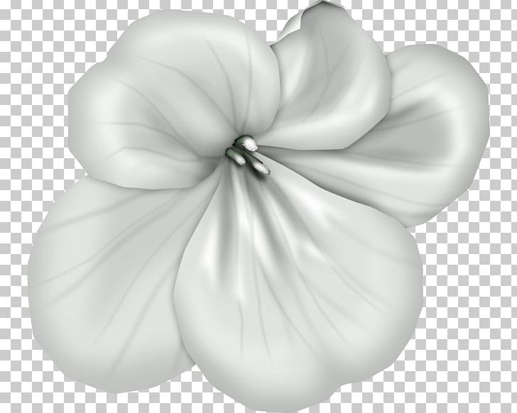 Petal White Mallows Cut Flowers PNG, Clipart, Black And White, Cari, Cut Flowers, Deco, Family Free PNG Download