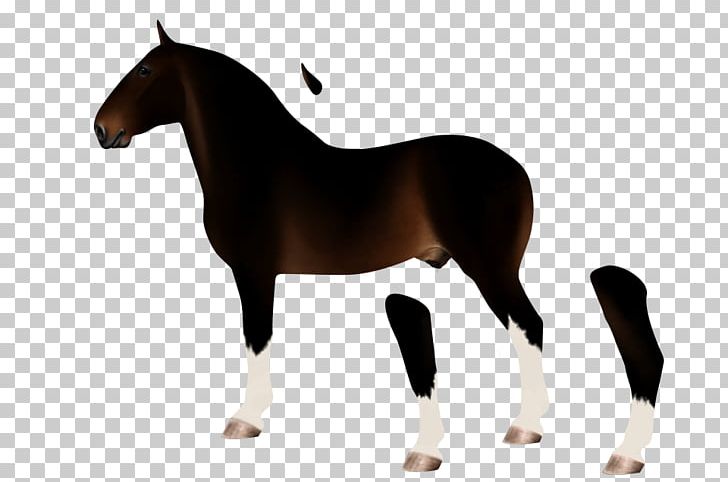 Stallion Mare Morgan Horse Selle Français Mustang PNG, Clipart, Animal, Animal Figure, Breyer Animal Creations, Bridle, Equestrian Sport Free PNG Download