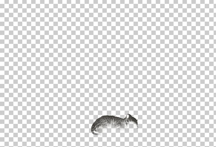 Whiskers Rat Dog Canidae Snout PNG, Clipart, Animal, Animals, Black, Black And White, Black M Free PNG Download