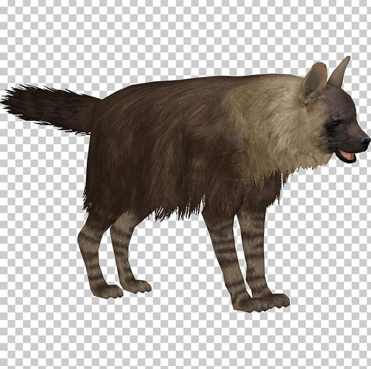 Zoo Tycoon 2 Striped Hyena African Wild Dog PNG, Clipart, Aardwolf, African Wild Dog, Animal, Animals, Blackbacked Jackal Free PNG Download