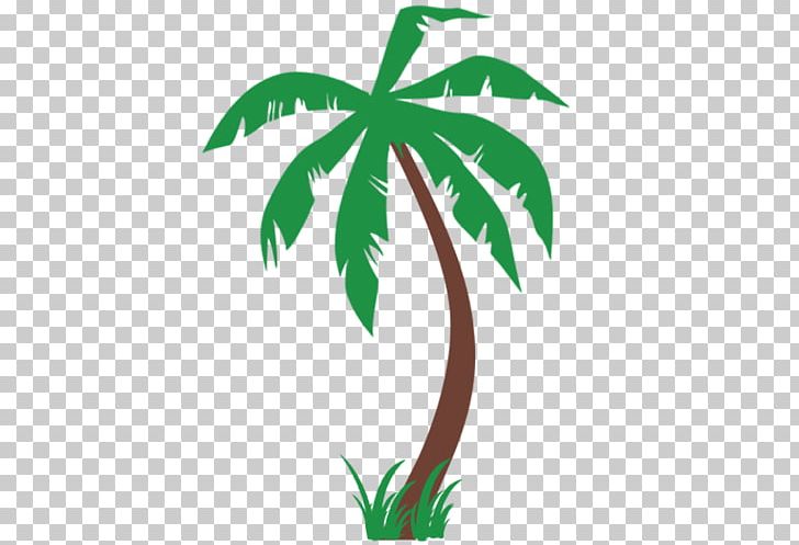 Arecaceae Decal Sticker Queen Palm PNG, Clipart, Arecaceae, Arecales, Branch, Decal, Flowering Plant Free PNG Download