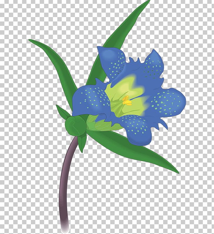 Texas Bluebell Drawing PNG, Clipart, Drawing, Flora, Floral Design, Flower, Flowering Plant Free PNG Download