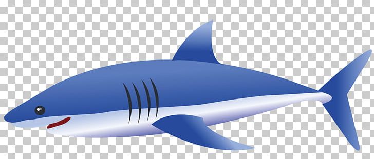 Tiger Shark Fin Blue Shark PNG, Clipart, Animal, Animals, Benthic Fauna, Big, Big Ben Free PNG Download