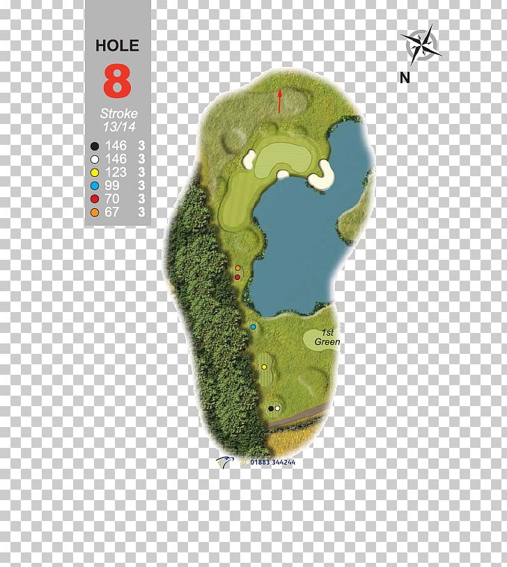 Deilephila Elpenor Iron Wood Golf Course PNG, Clipart, Butterflies And Moths, Damme Golf Country Club, Deilephila, Deilephila Elpenor, Dog Free PNG Download