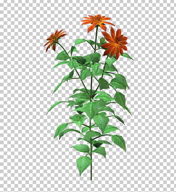 Flower LiveInternet PNG, Clipart, Adobe Flash, Daisy Family, Flora, Flower, Flower Bouquet Free PNG Download