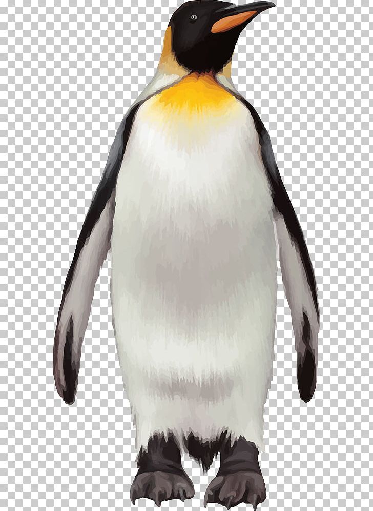 King Penguin Bird PNG, Clipart, Adobe Illustrator, Animal, Arctic, Beak, Christmas Penguin Free PNG Download