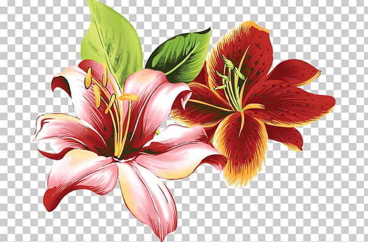 Lilium Flower Daylily Floral Design PNG, Clipart, Art, Child, Color, Coloring Book, Cut Flowers Free PNG Download