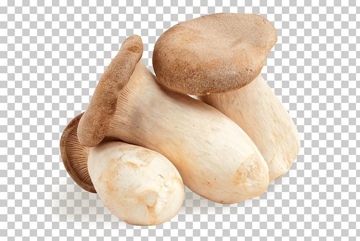 Pleurotus Eryngii Edible Mushroom Oyster Mushroom Fungus PNG, Clipart, Common Mushroom, Edible Mushroom, Food, Food Energy, Fungus Free PNG Download