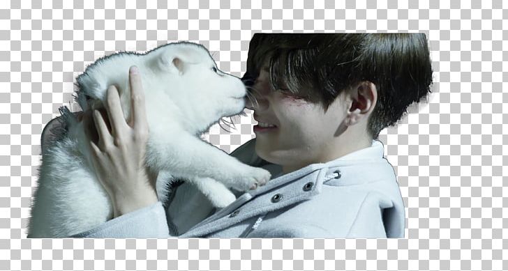 BTS Wings Stigma K-pop Song PNG, Clipart, Bts, Dog, Dog Breed, Dog Like Mammal, Ear Free PNG Download