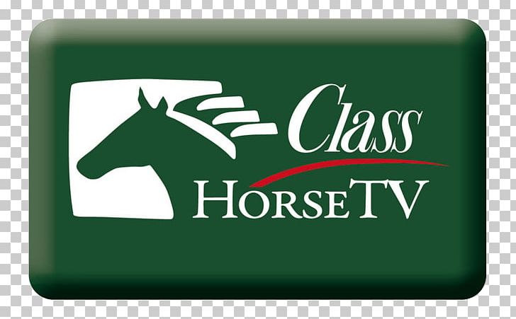 ClassHorseTV Icelandic Horse Television Channel Sky Sport PNG, Clipart, Brand, Broadcasting, Grass, Green, Highdefinition Television Free PNG Download